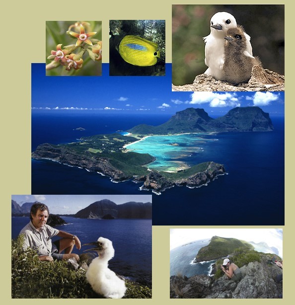 Lord Howe Island VK9CLH CQ WW WPX CW Contest 2010 DX News
